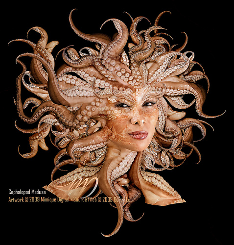 Pics+of+medusa+before+she+was+ugly