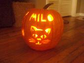 Milo's Pumpkin