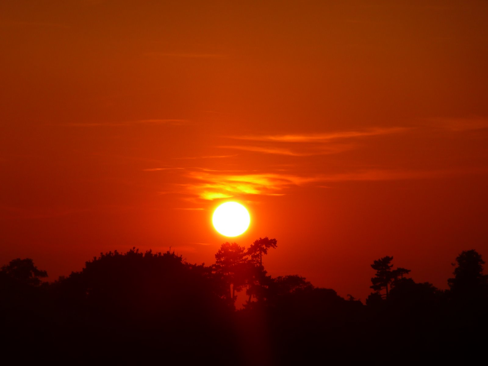[sunset.JPG]