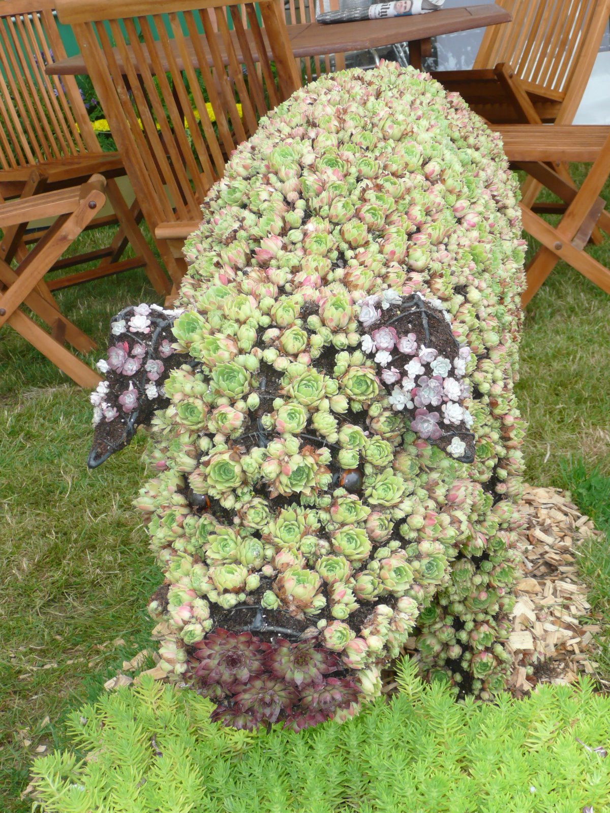 [flower+pig..JPG]