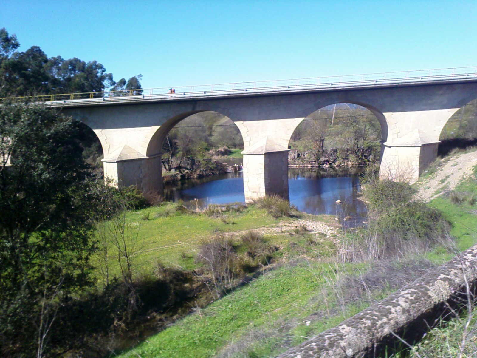 [IMAGE_00266.jpg]