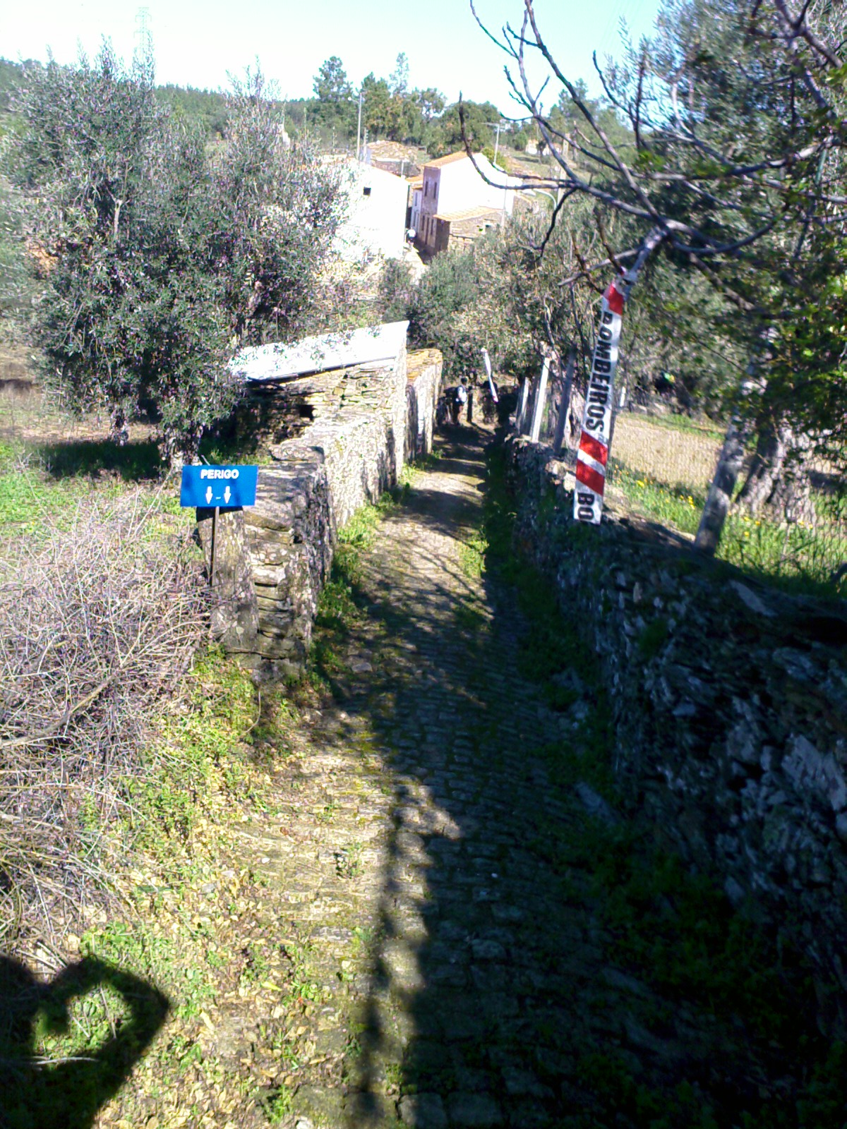 [IMAGE_00080.jpg]