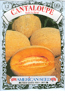 Cantaloupe