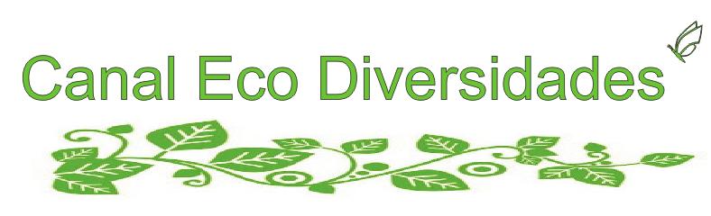 canal eco diversidades