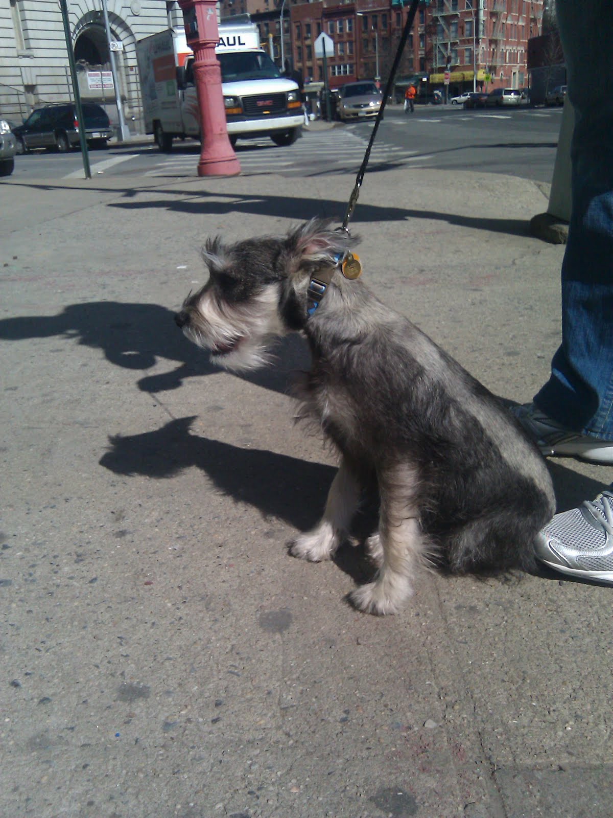 [=?utf-8?B?SU1BRzEyNzguanBn?=-768124]