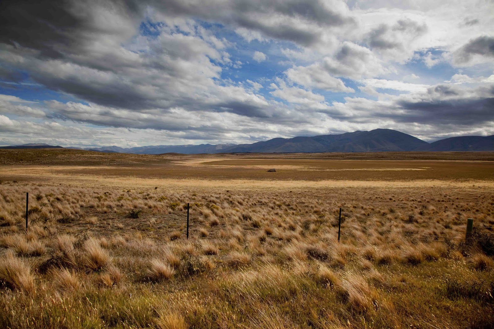 Battle For Middle Earth 3?! - PC/Mac/Linux Society - GameSpot