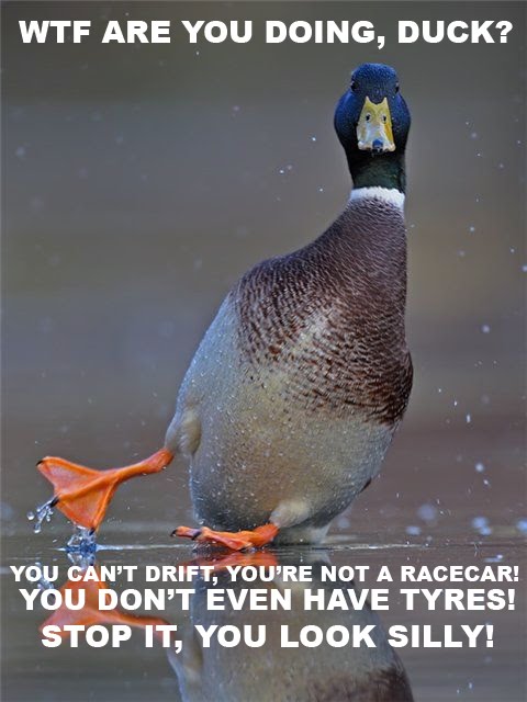 [duck+classics.jpg]