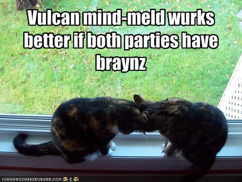 [funny-pictures-the-vulcan-mind-meld-is-not-working.jpg]