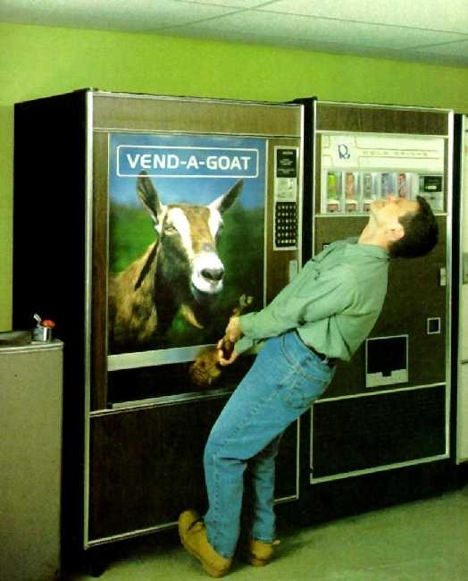 [vend-a-goat+mcs.jpg]