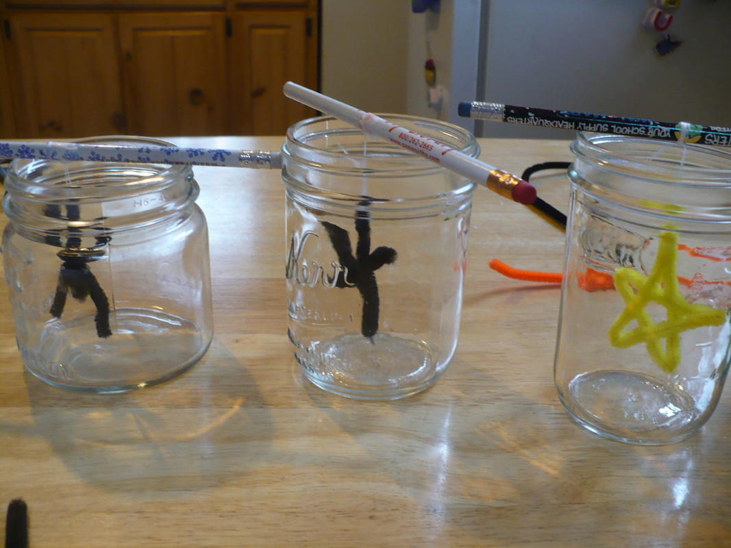 The Enchanted Tree Growing Crystals.