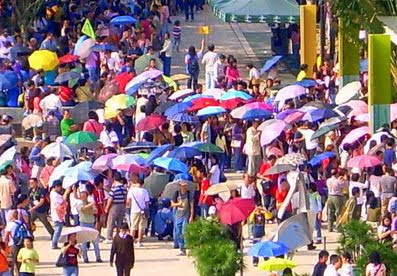 India Umbrella