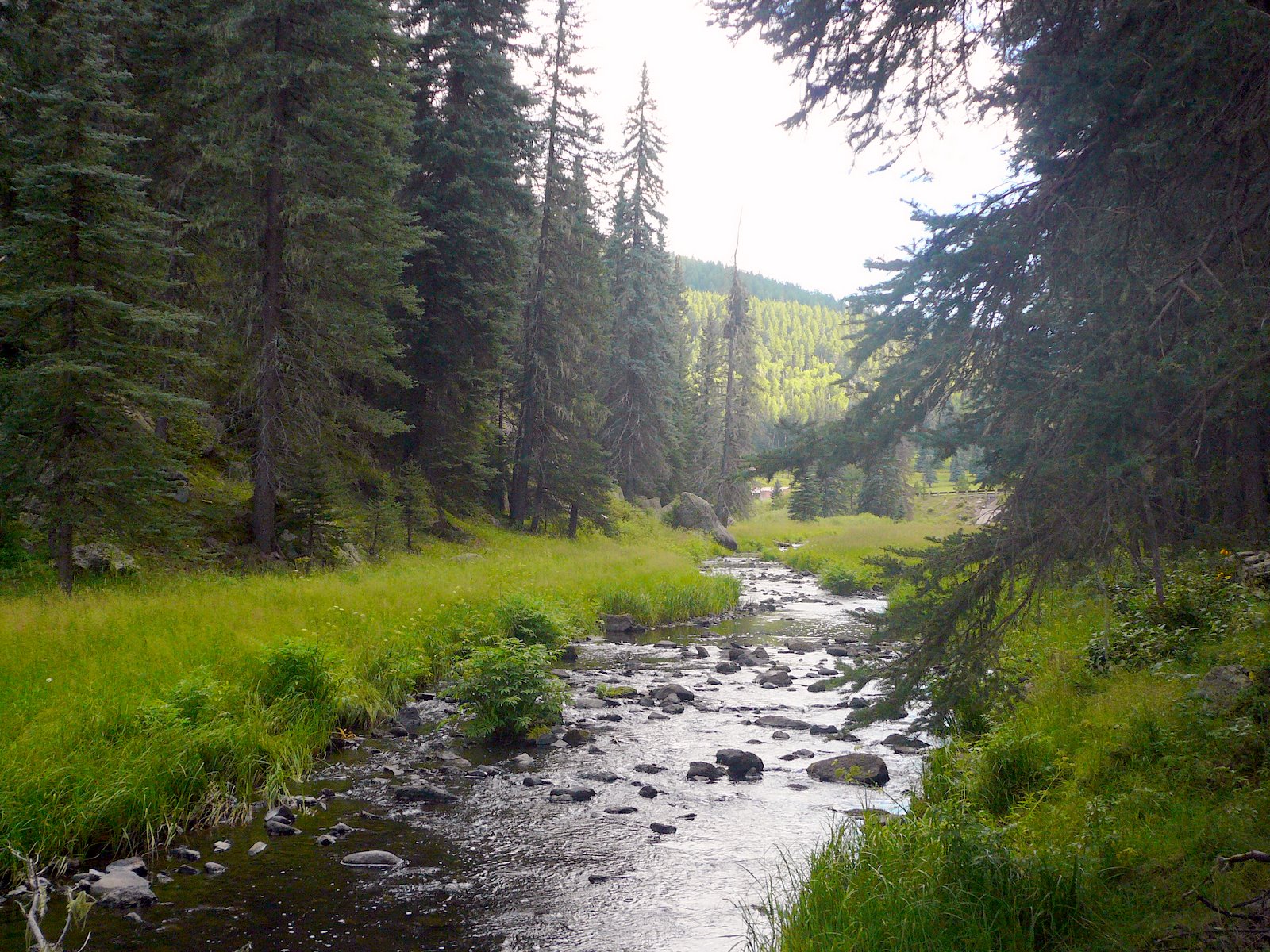 Zabeth's Hiking Blog East Fork of the Jemez River