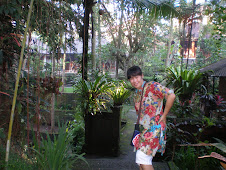 in front of hotel in Ubud  green green green