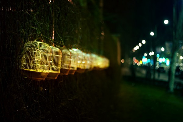 [jaulasperspectivaiz.jpg]