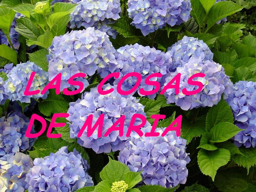 Las cosas de Maria