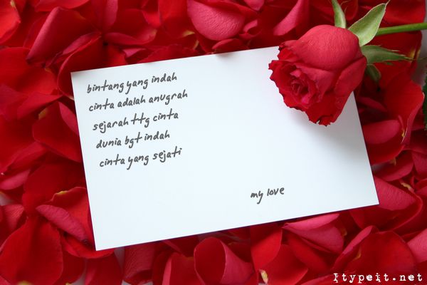 T2lovv Grso59m T2lovv Grso59m