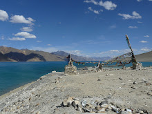 Pangong Tso v Ladakhu