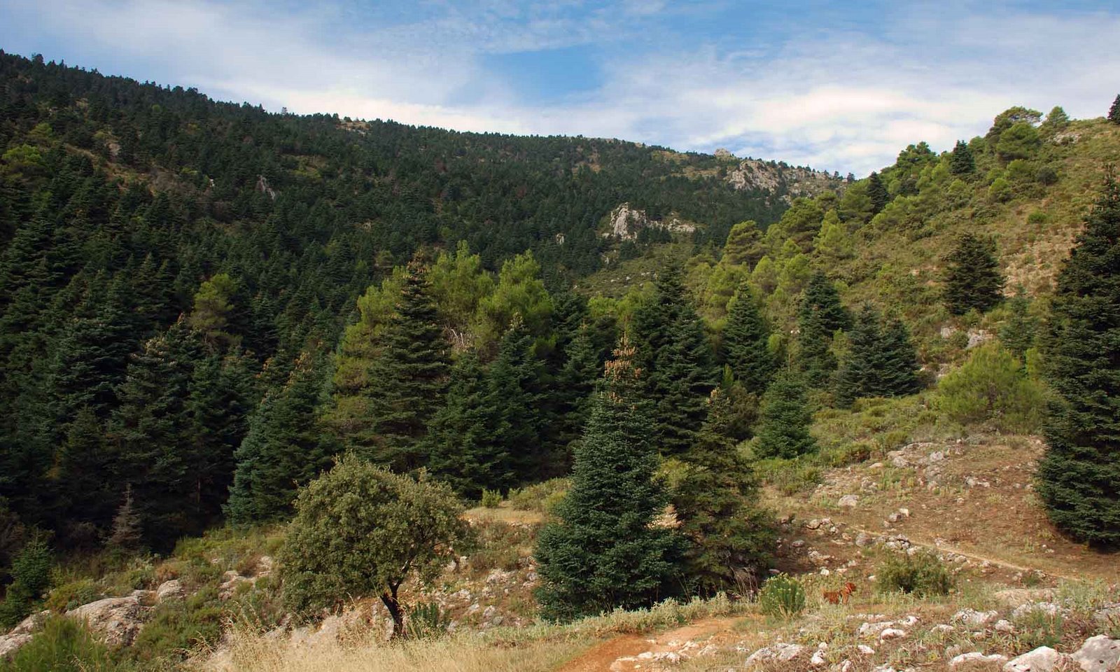 [0000+01+Tajo+de+la+CaÃ­na.jpg]