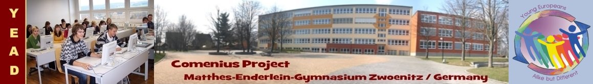 YEAD2008 - Comenius Project Gymnasium Zwoenitz