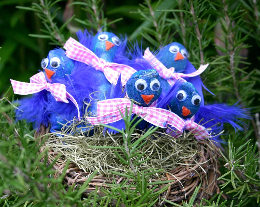 [IMG_5956.JPG]