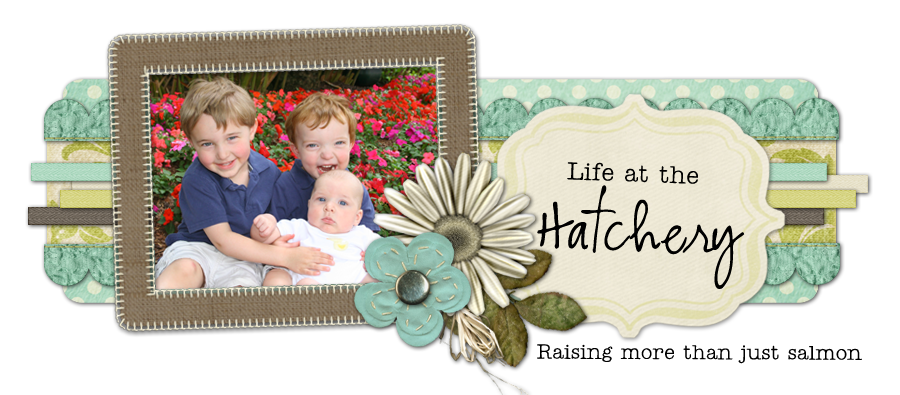 Life at the Hatchery