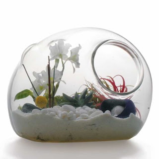 Video Tutorial How to Make a Terrarium : Garden Art In Glass