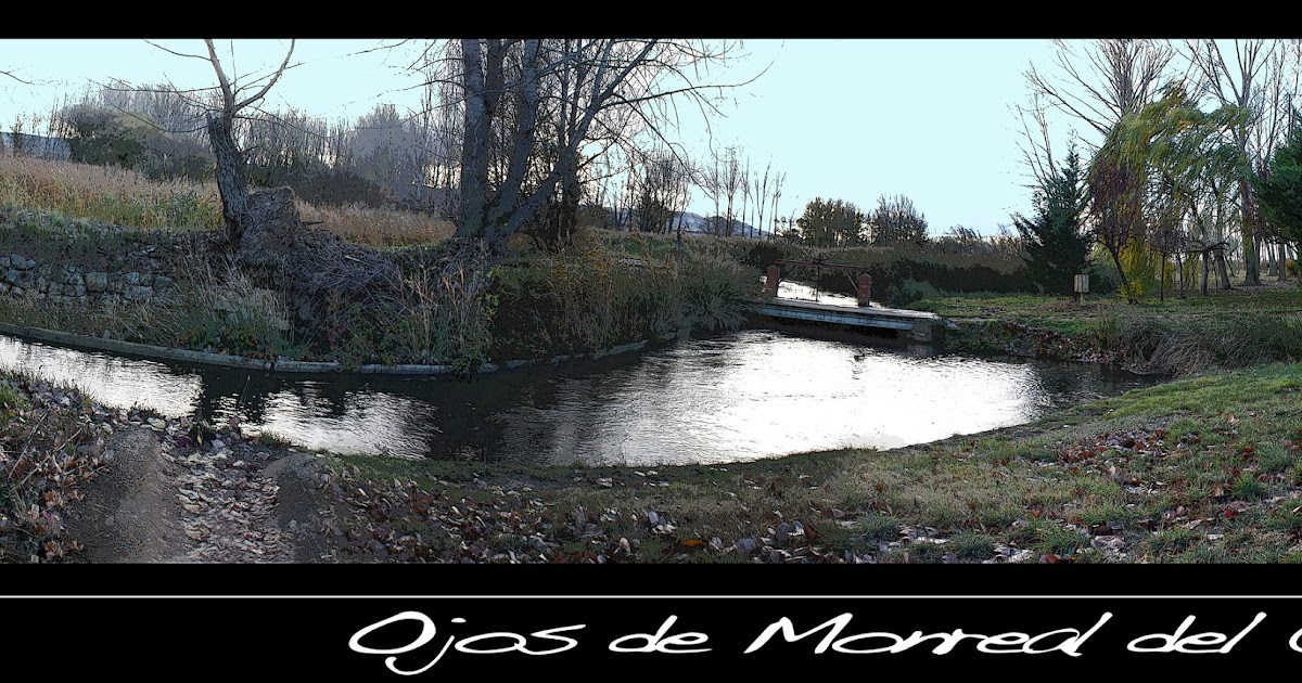 Foto de Ojos de Monreal en Odón, Teruel