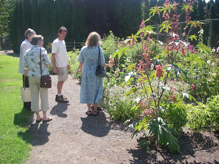 Garden Tour 2009