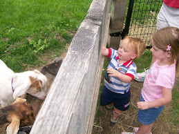 Feeding Goats