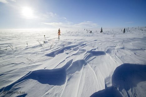 [snow_wind_drift_alaska+at+www+hickerphoto+com.jpg]