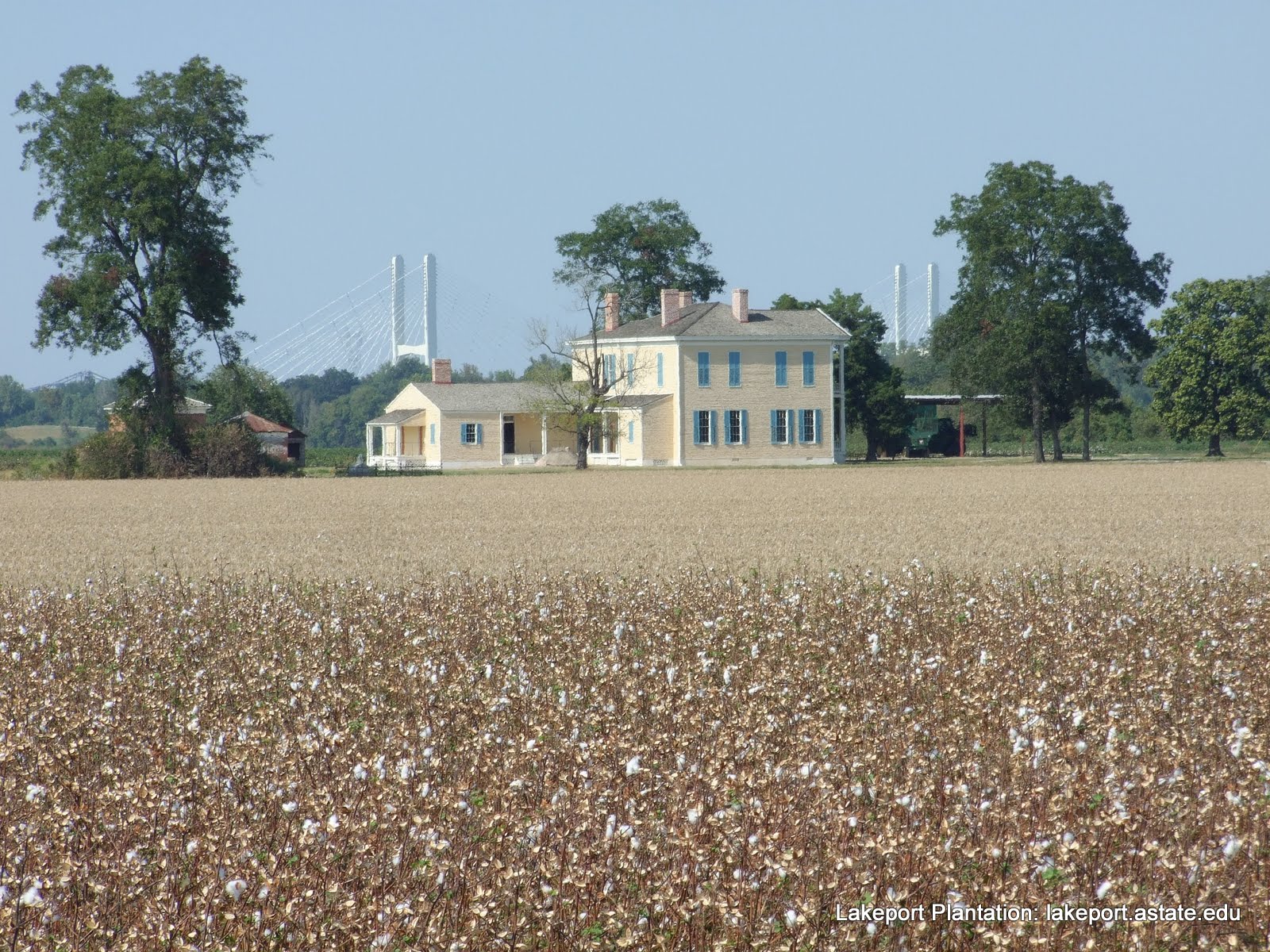 Lakeport Plantation Another Season of Cotton