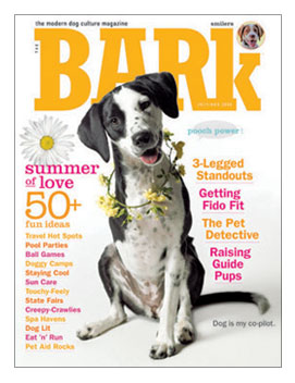 [Bark_Summer_06.jpg]