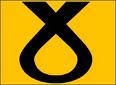 [SNP+SYMBOL.jpg]