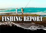 Australia Wide Fishing Report