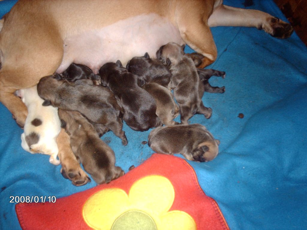 [Sam-bebes-10.01.08-C-D.JPG]