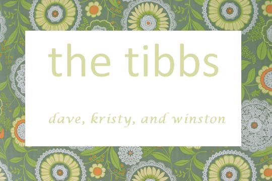 Kristy and Dave Tibbs