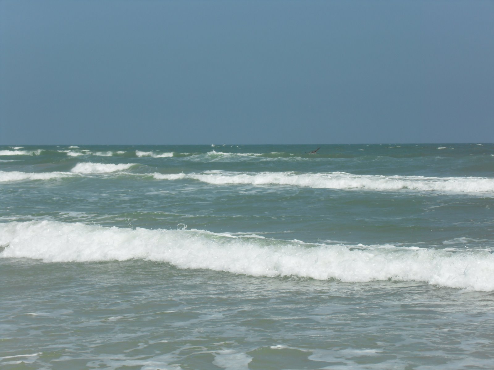 [SDC11057.JPG]