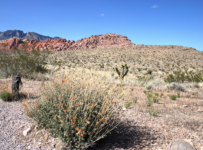 Red Rock Canyon, Las Vegas 2