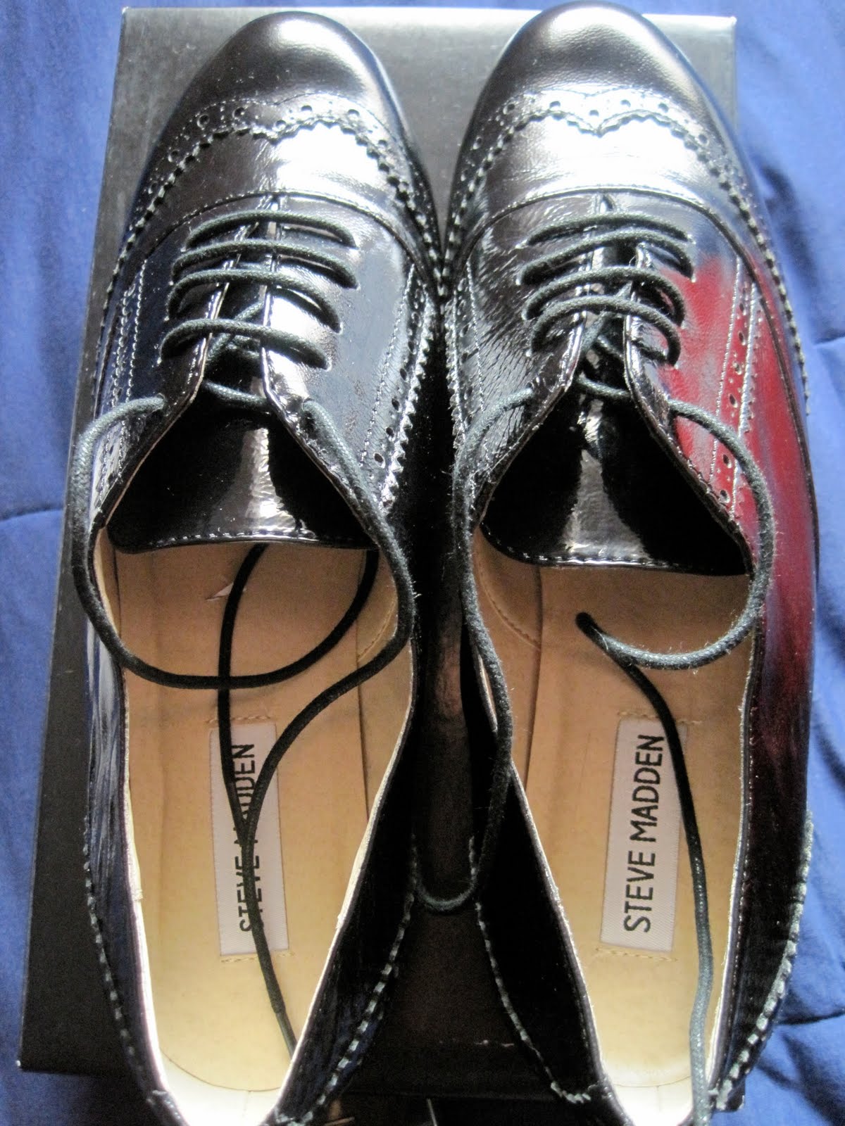 Ann Taylor Credit Card .