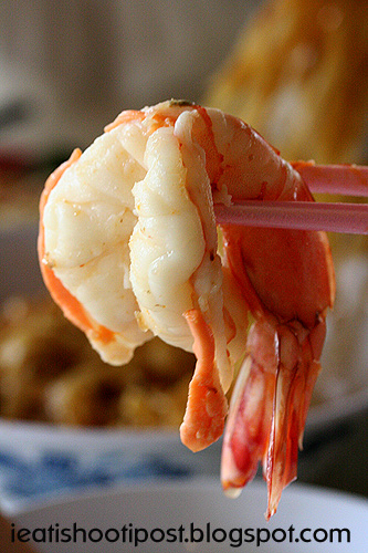 [Prawn+copy.jpg]