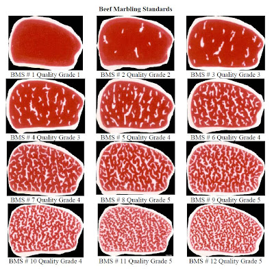 Kobe Beef Marbling