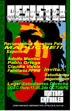 AFICHE SEMINARIO DE LOS PPM