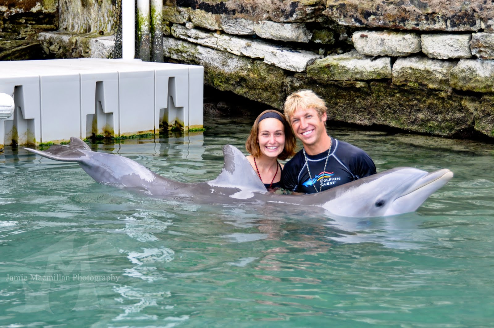 Bermuda Dolphin Quest