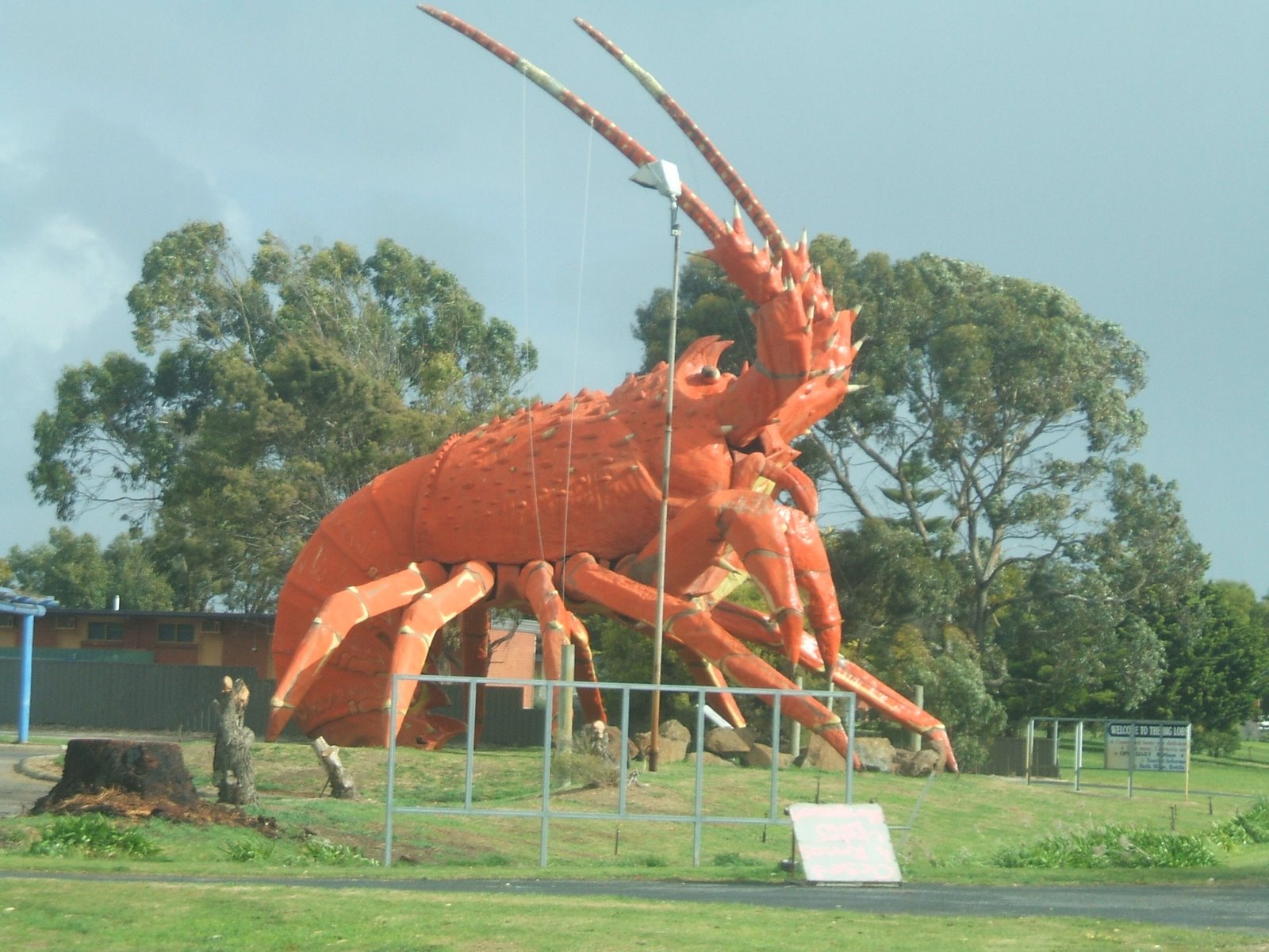 [DSCF1209.JPG]