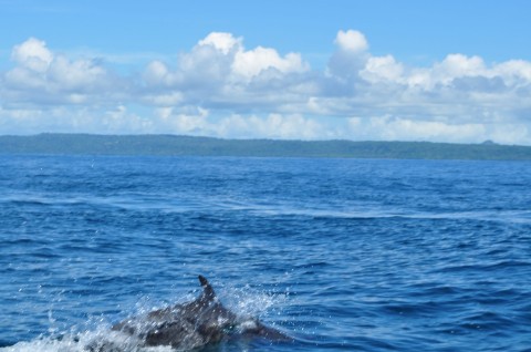 Jaco Beach Prostitutes