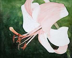 [tiltedlily3.jpg]