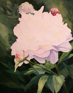 [whitepeony4.jpg]