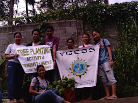 tree planting at taguibo 3