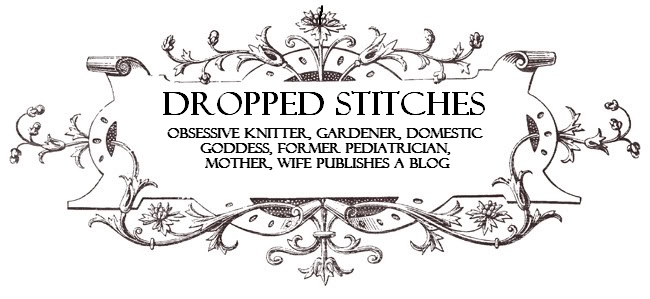 Dropped Stitches
