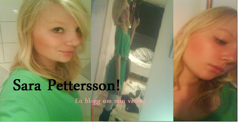 <big>Sara Pettersson</big>